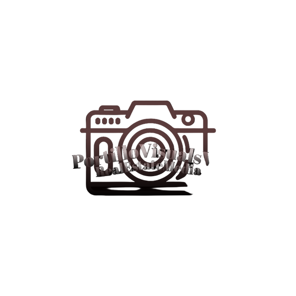 portillovisualsva